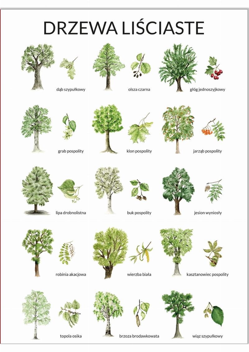 Edukacja przyrodnicza przez zabawę