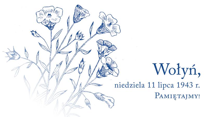 Kultura strachu i przemoc