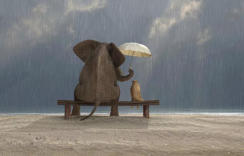 Mądrości wielkich myślicieli