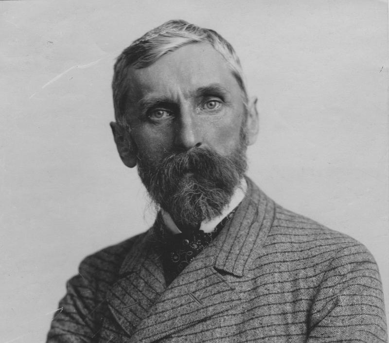 Kwiaty w poezji Adama Asnyka – piękno i emocje zamknięte w wierszach