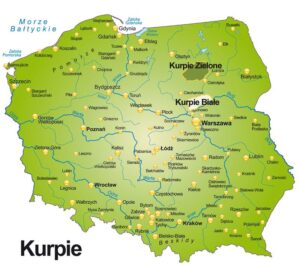 Magiczne wiersze kurpiowskie, które oczarują każde dziecko