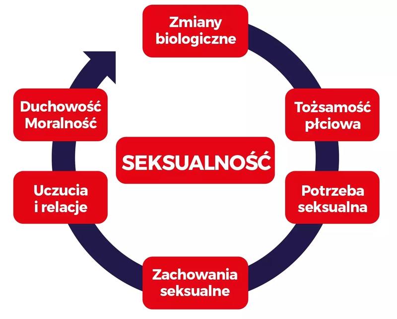Prawdy i mity o seksie: Co warto wiedzieć, a co jest tylko legendą?