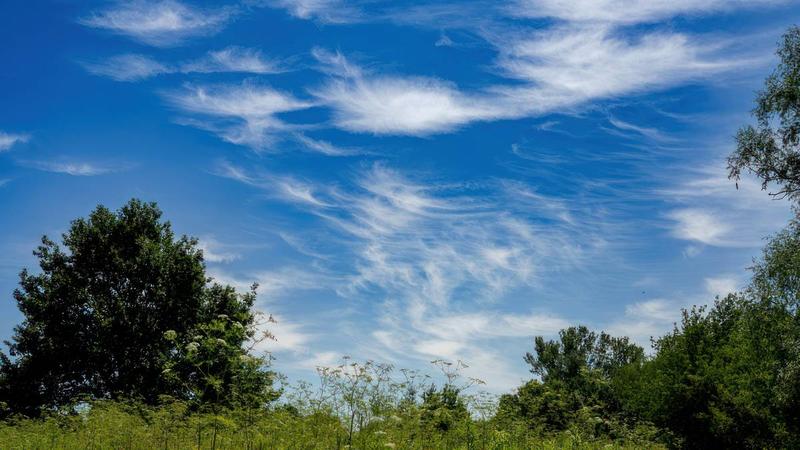 Analiza literacka „Niebo”