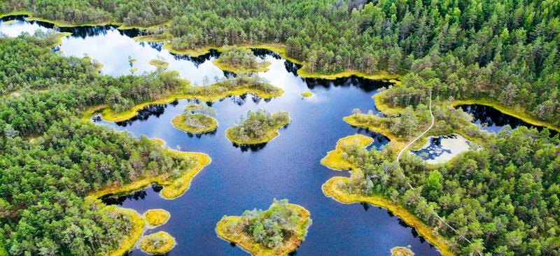 Poezja wiosny i natury