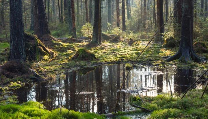 Symbolika wiosny w literaturze