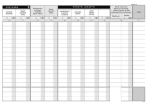 Książka przychodów i rozchodów: netto czy brutto – co wybrać dla lepszej kontroli finansów?