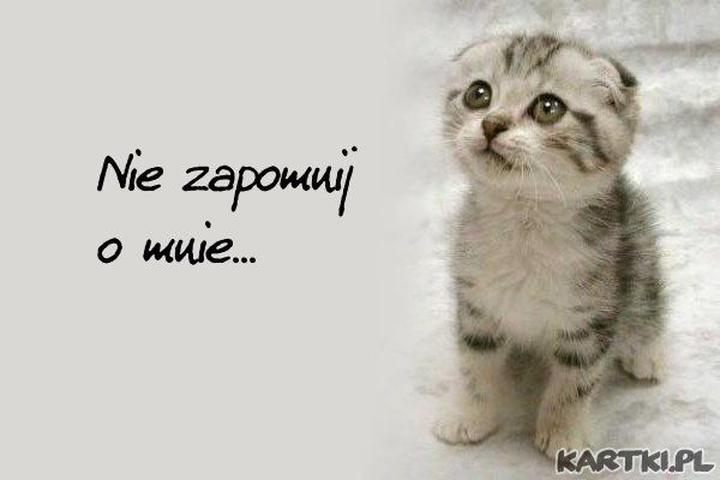 Przypomnienie o emocjach: odkryj książkę „Nie zapomnij o mnie”