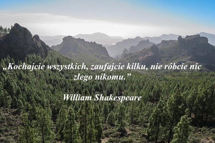 Cytaty, które zmieniają życie