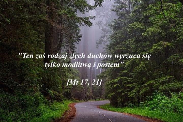 Miłość i współczucie Jezusa