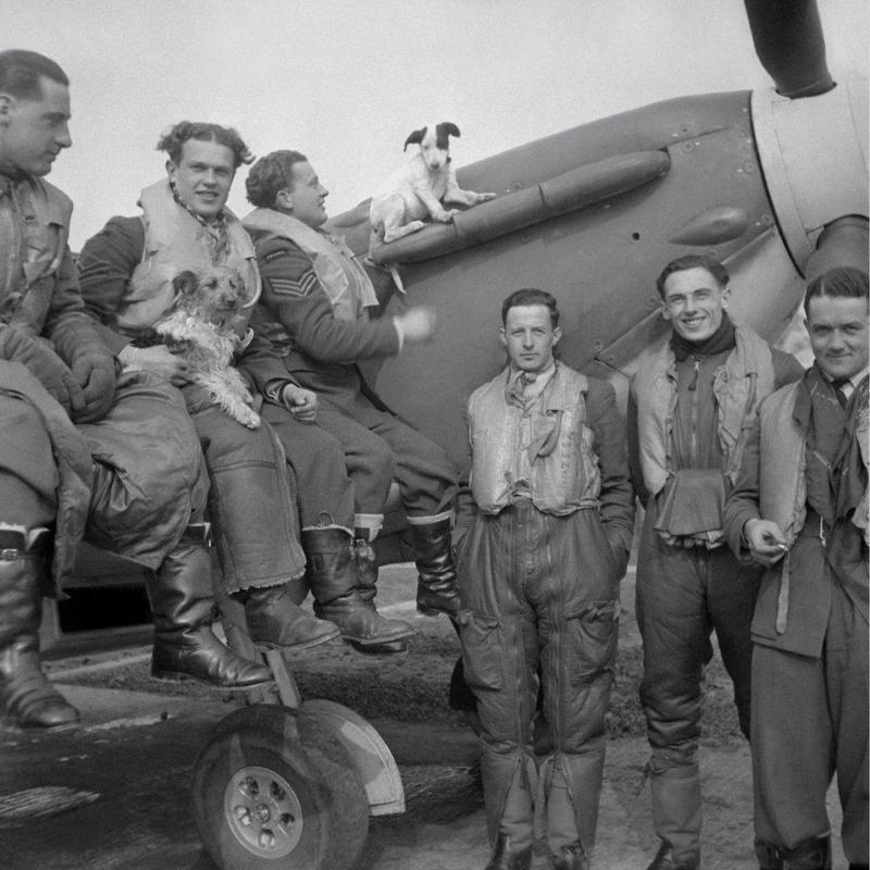 Piloci i bohaterowie Dywizjonu 303