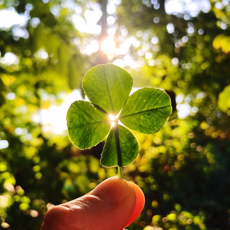 Poezja a przekaz muzyczny o radości