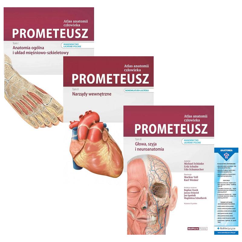 Prometeusz w sztuce współczesnej