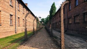 Motywy, które definiują nas w Auschwitz: opowieści z miejsca pamięci