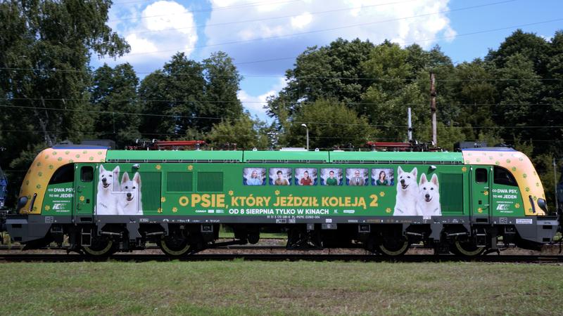 Z niezwykłą przygodą po torach: fragment książki o psie, który podróżował koleją