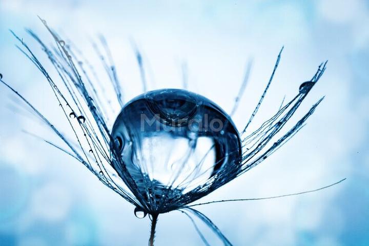 Cytaty o naturze i harmonii