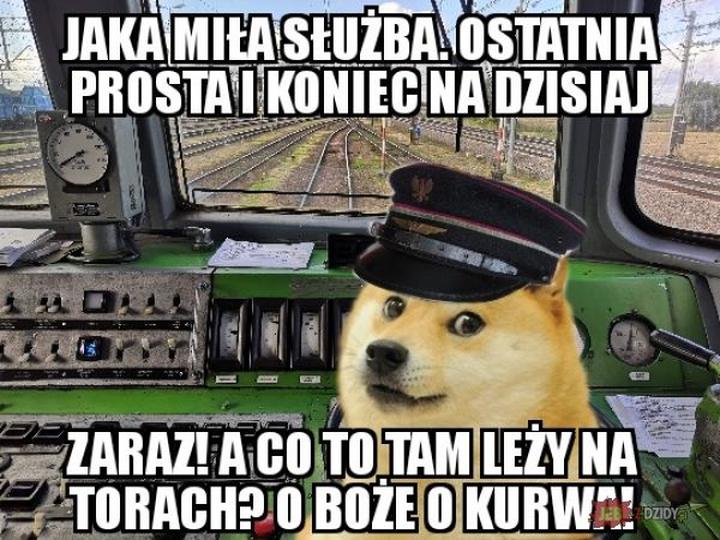 Edukacyjne quizy o psach i kolejnictwie