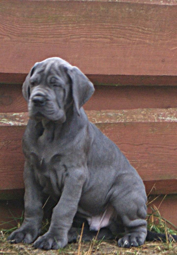 Magiczny świat opowieści