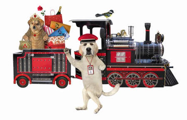 O psie który jeździł koleją recenzja