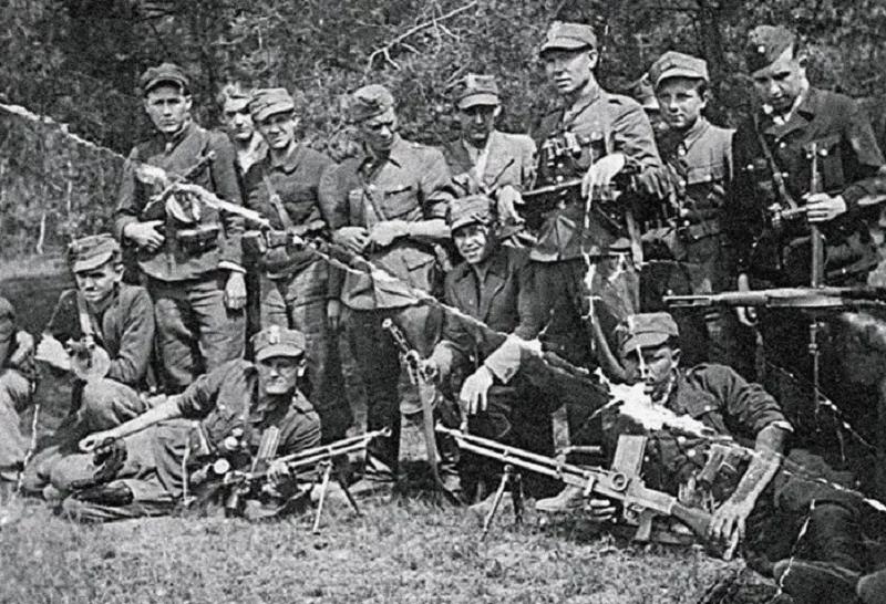 Partyzanci w literaturze i fikcji