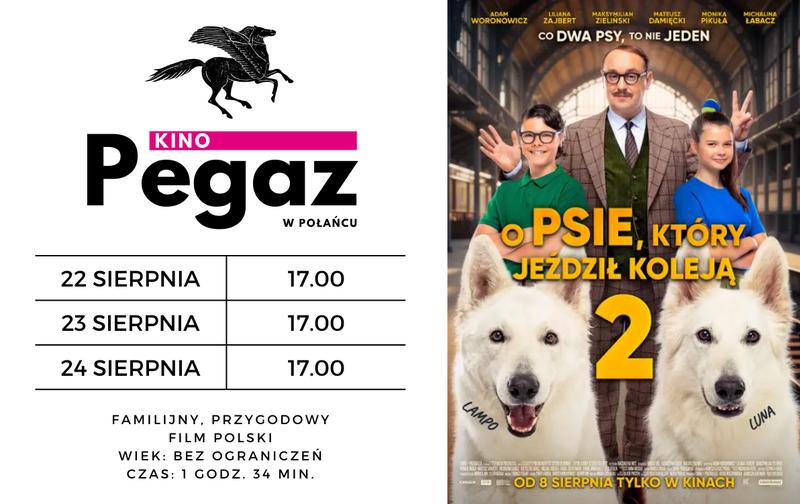 Testy wiedzy o psie który jeździł koleją