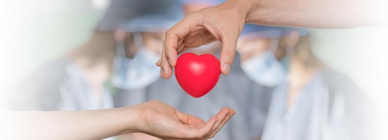 Inspirujące cytaty o transplantacji