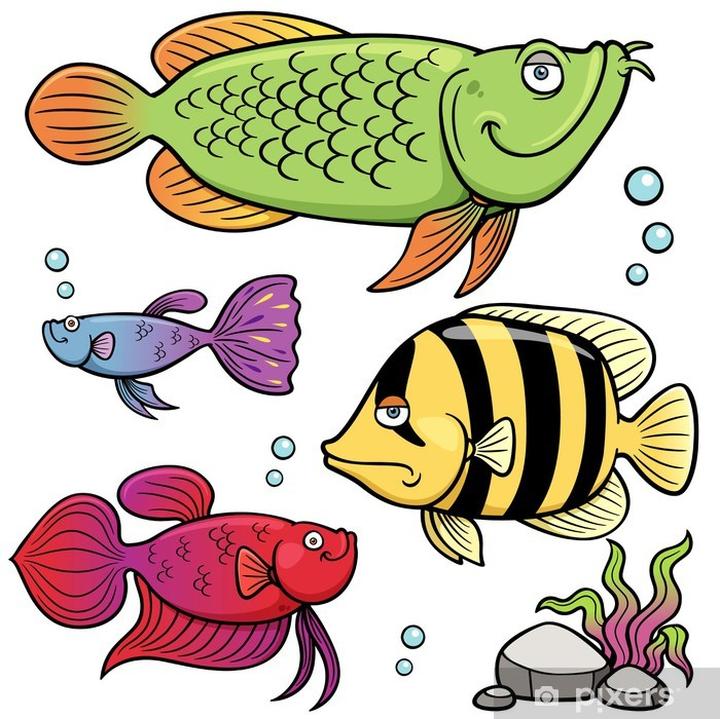 Poradniki akwarystyczne