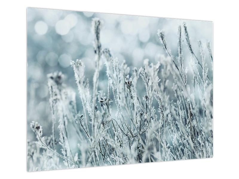 Wiersze o styczniu i zimie