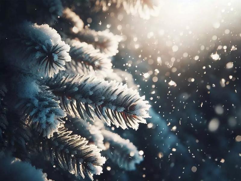 Magia zimy: wiersze o styczniu dla najmłodszych