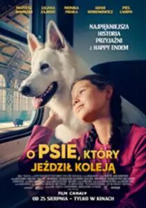 Odkryj magię podróży w teście z lektury "Pies, który jeździł koleją"