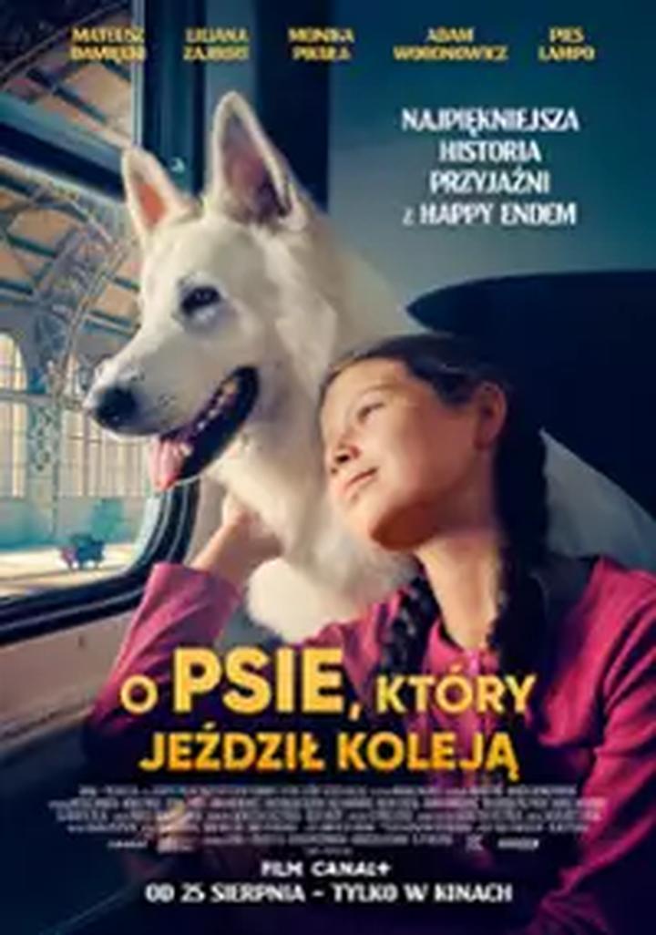 Odkryj magię podróży w teście z lektury "Pies, który jeździł koleją"