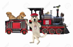 Odkryj tajemnice lektury: pytania dotyczące psa, który jeździł koleją