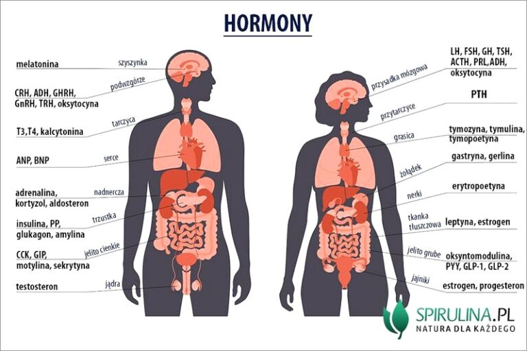 Obalamy mity o hormonach: prawda, która cię zaskoczy