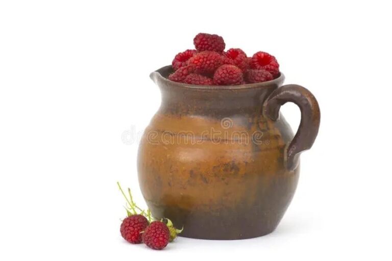 Za drzwami wyobraźni. Tomik wierszy dzbanek malin pełen emocji